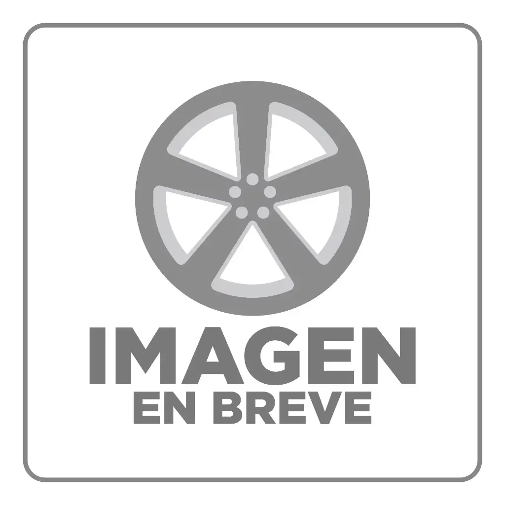 RIN 13X9 4-100/114.3 R1 SPORT 767 SILVER MACHINE LIP GOLD RIVETS ET-10 CB73.1